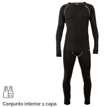 CONJUNTO INTERIOR 1 CAPA